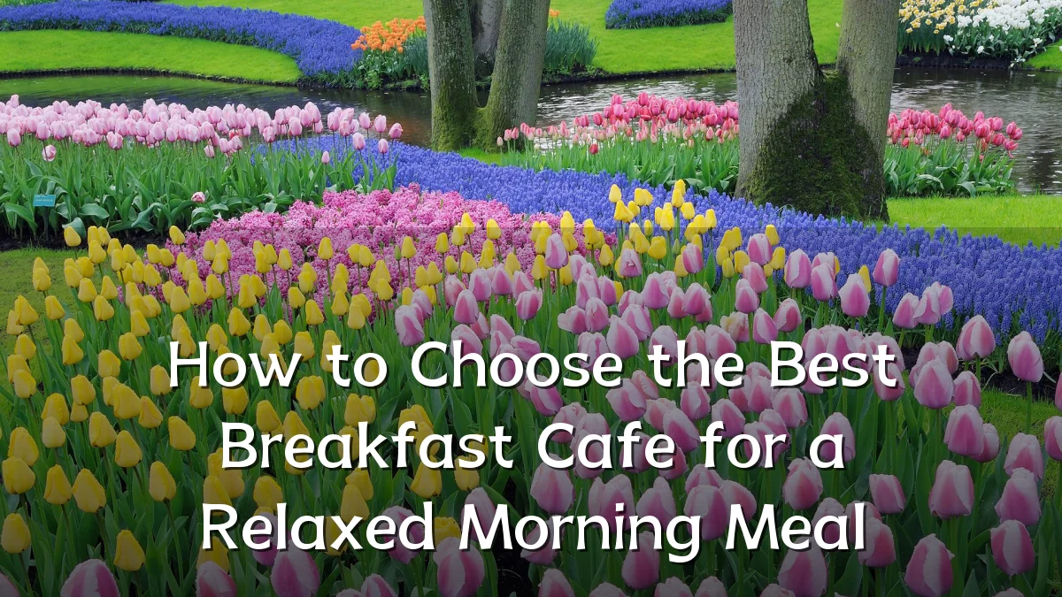 How to Choose the Best Breakfast Cafe for a Relaxed Morning Meal