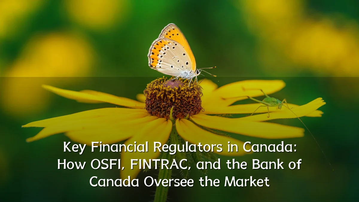 Key Financial Regulators in Canada: How OSFI, FINTRAC, and the Bank of Canada Oversee the Market