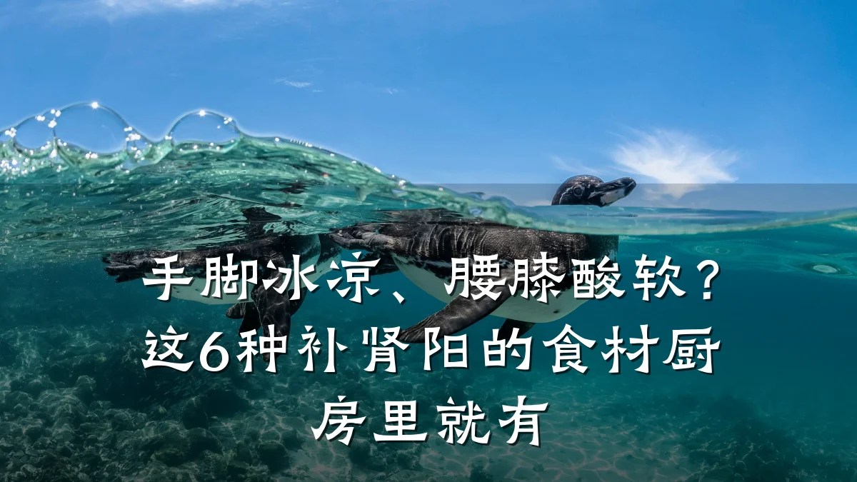 手脚冰凉、腰膝酸软？这6种补肾阳的食材厨房里就有