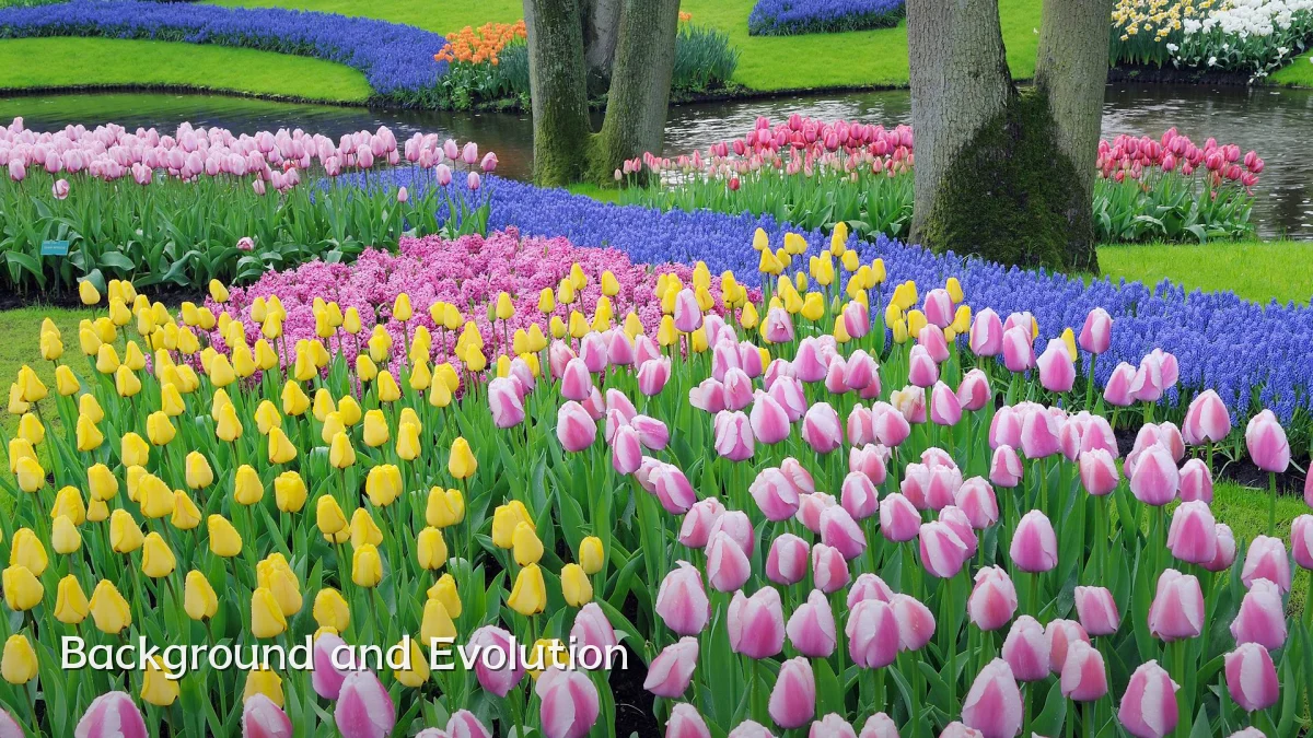 Background and Evolution