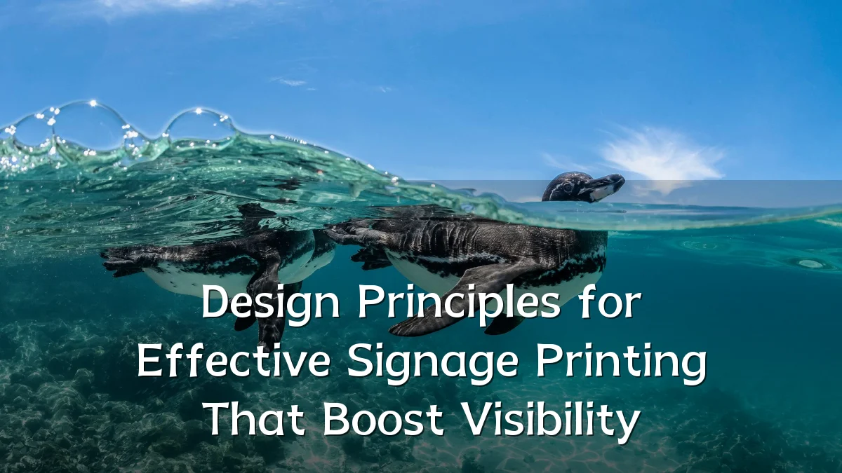 Design Principles for Effective Signage Printing That Boost Visibility