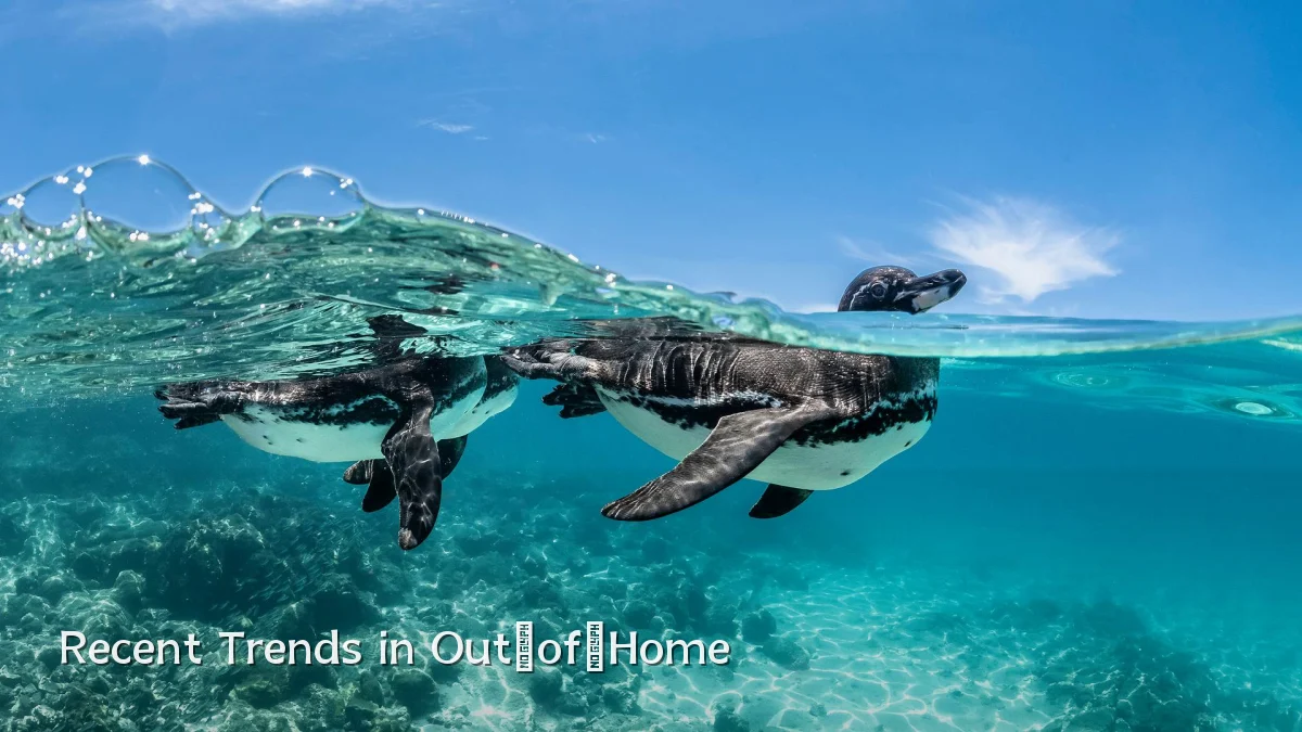 Recent Trends in Out‑of‑Home