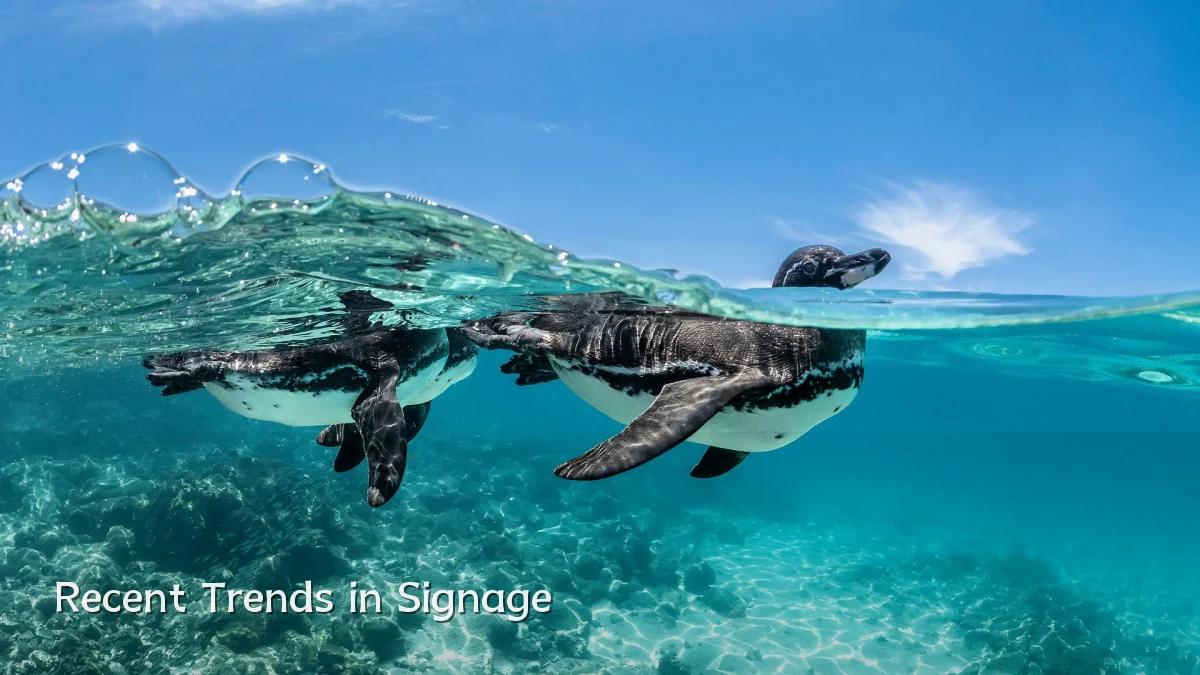 Recent Trends in Signage