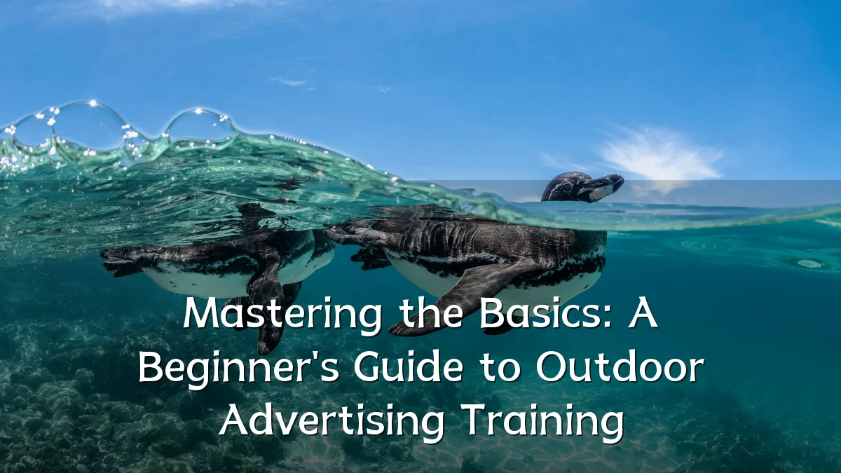 Mastering the Basics: A Beginner's Guide to Outdoor Advertising Training