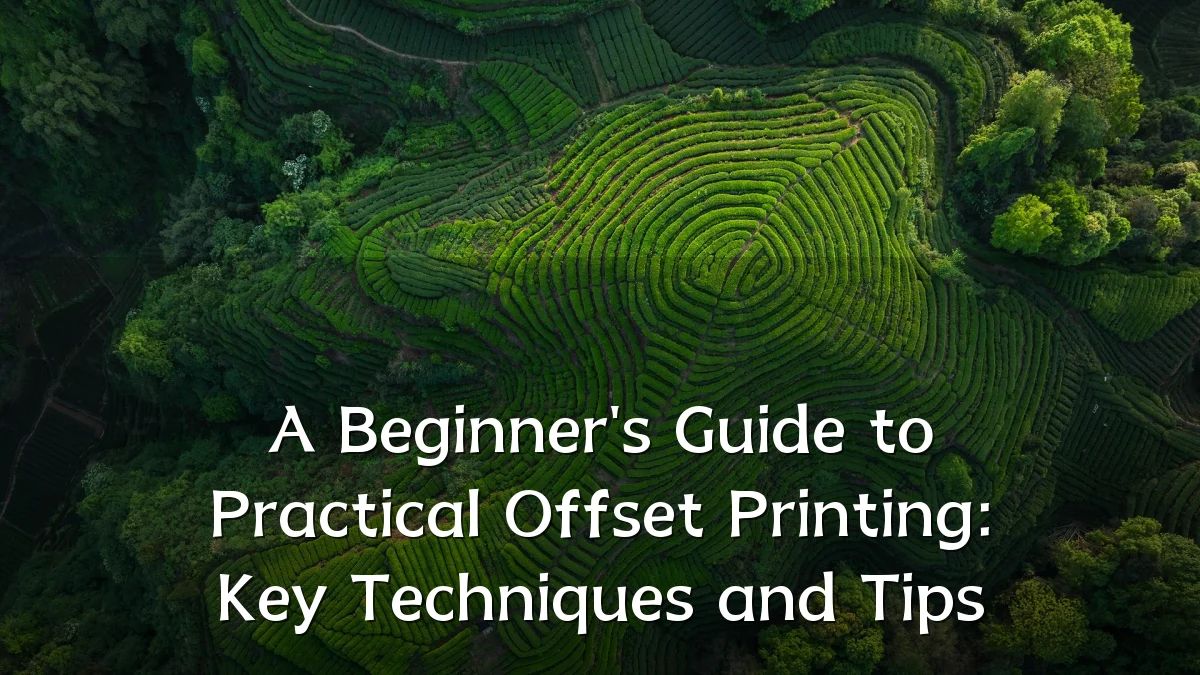 A Beginner's Guide to Practical Offset Printing: Key Techniques and Tips