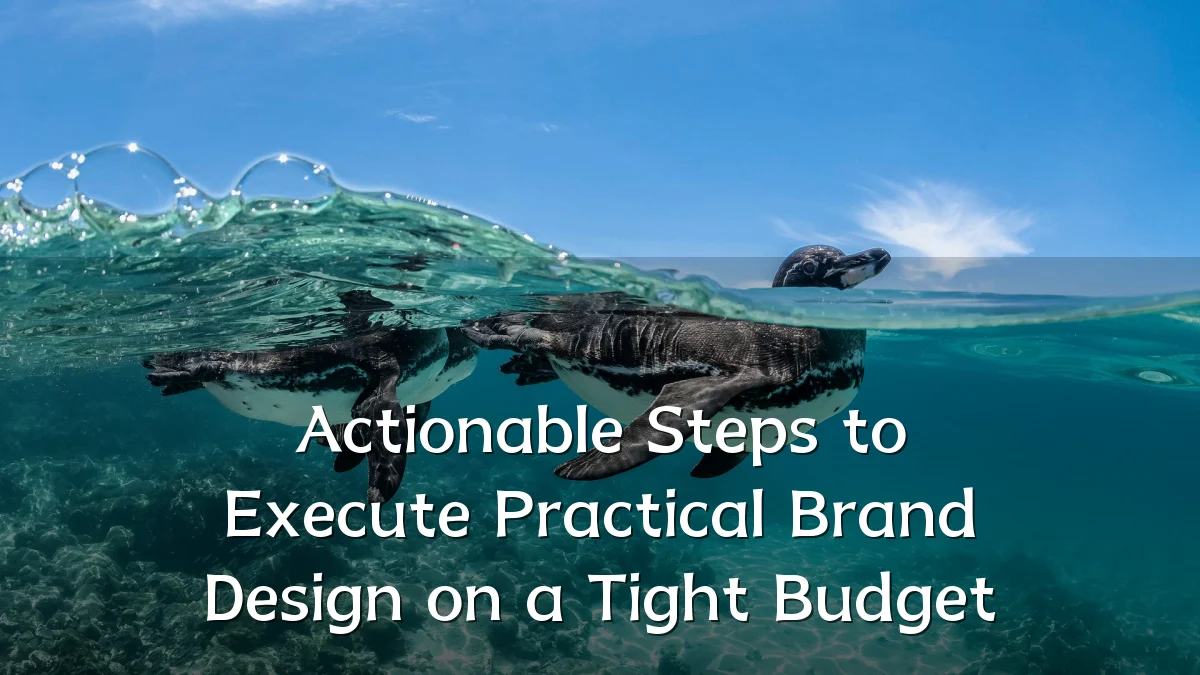 Actionable Steps to Execute Practical Brand Design on a Tight Budget