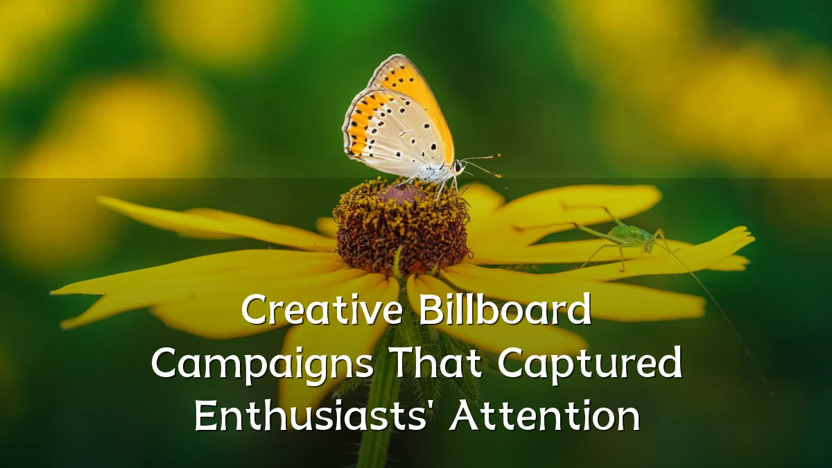 Creative Billboard Campaigns That Captured Enthusiasts' Attention