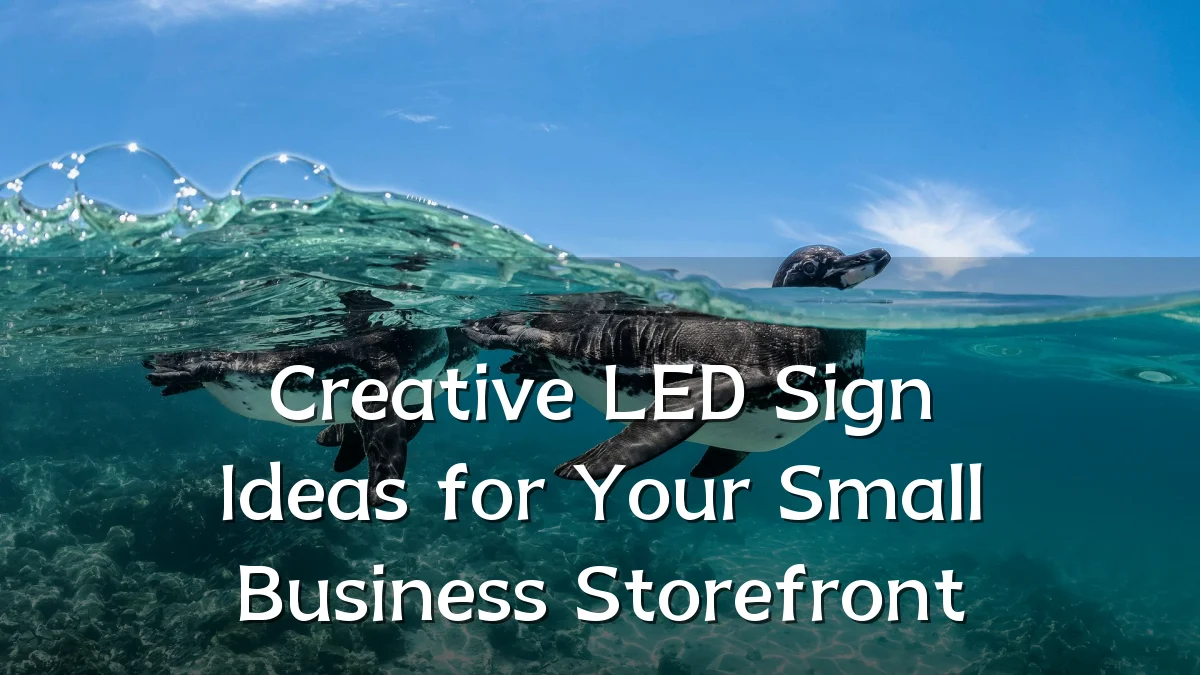 Creative LED Sign Ideas for Your Small Business Storefront