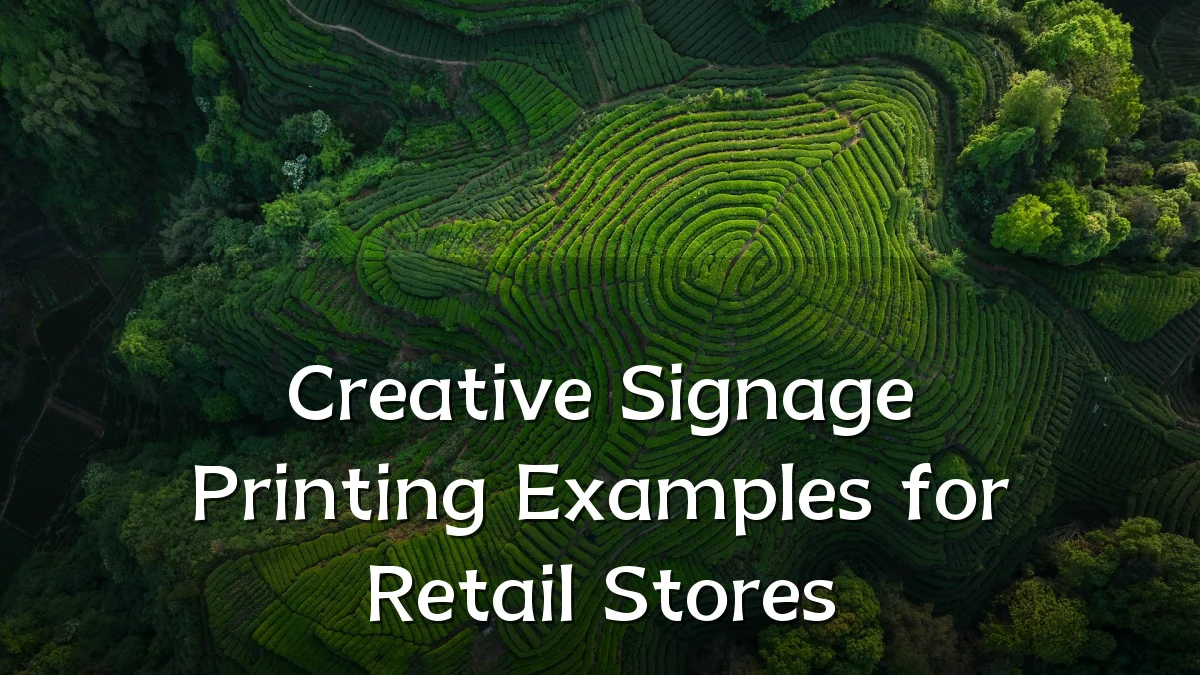 Creative Signage Printing Examples for Retail Stores