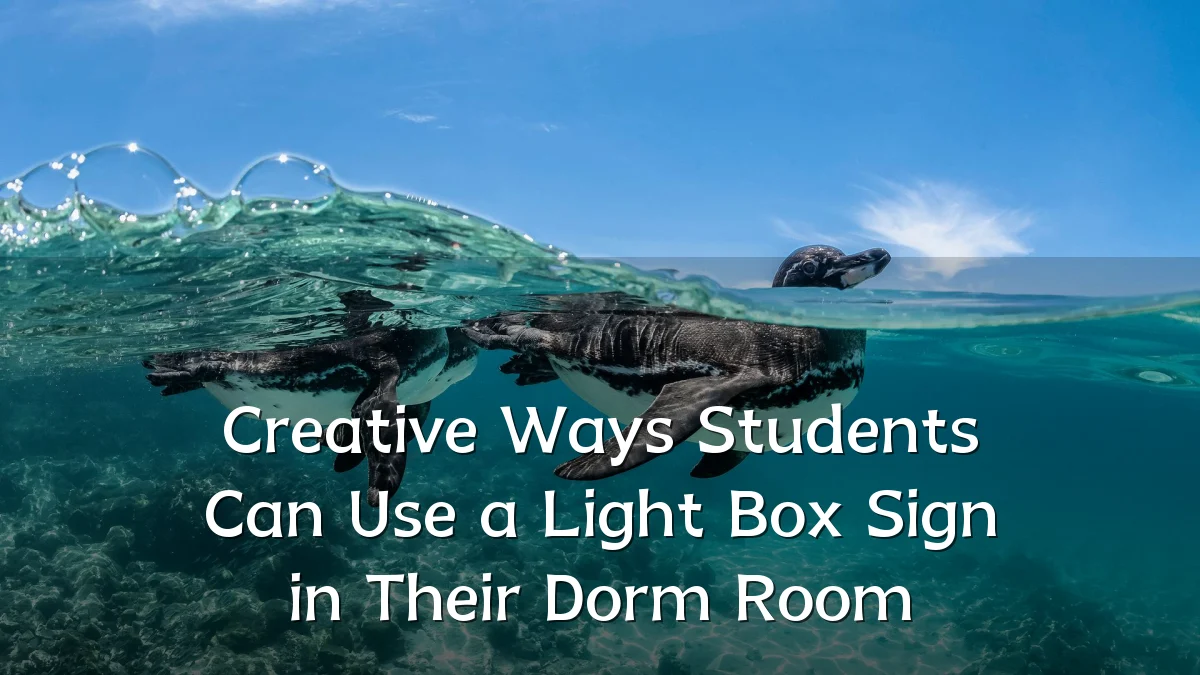 Creative Ways Students Can Use a Light Box Sign in Their Dorm Room
