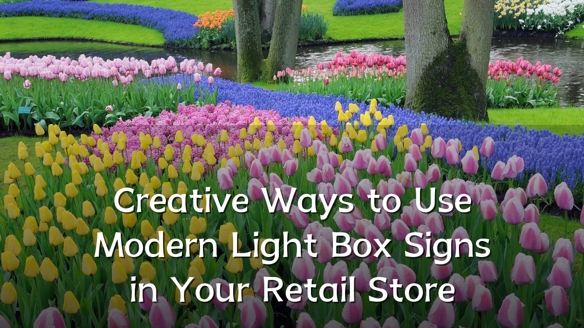 Creative Ways to Use Modern Light Box Signs in Your Retail Store