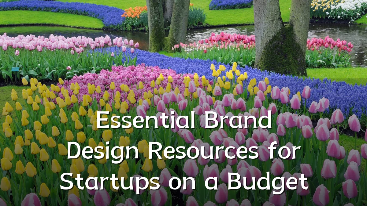 Essential Brand Design Resources for Startups on a Budget