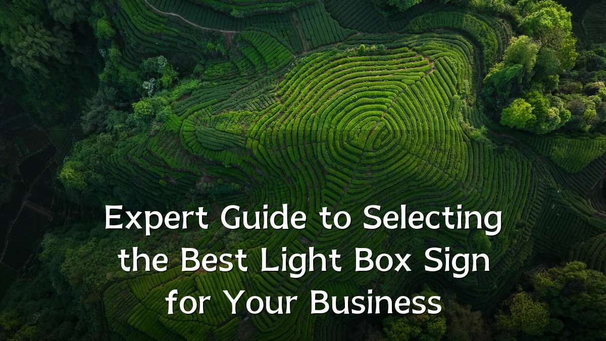 Expert Guide to Selecting the Best Light Box Sign for Your Business