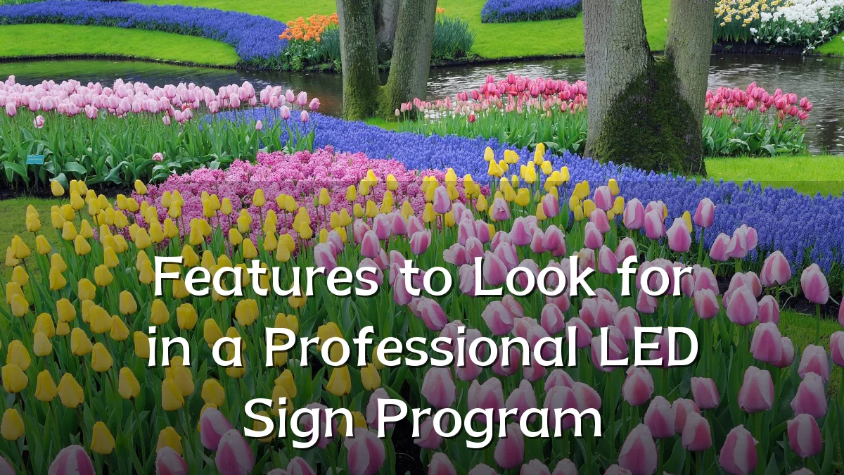 Features to Look for in a Professional LED Sign Program