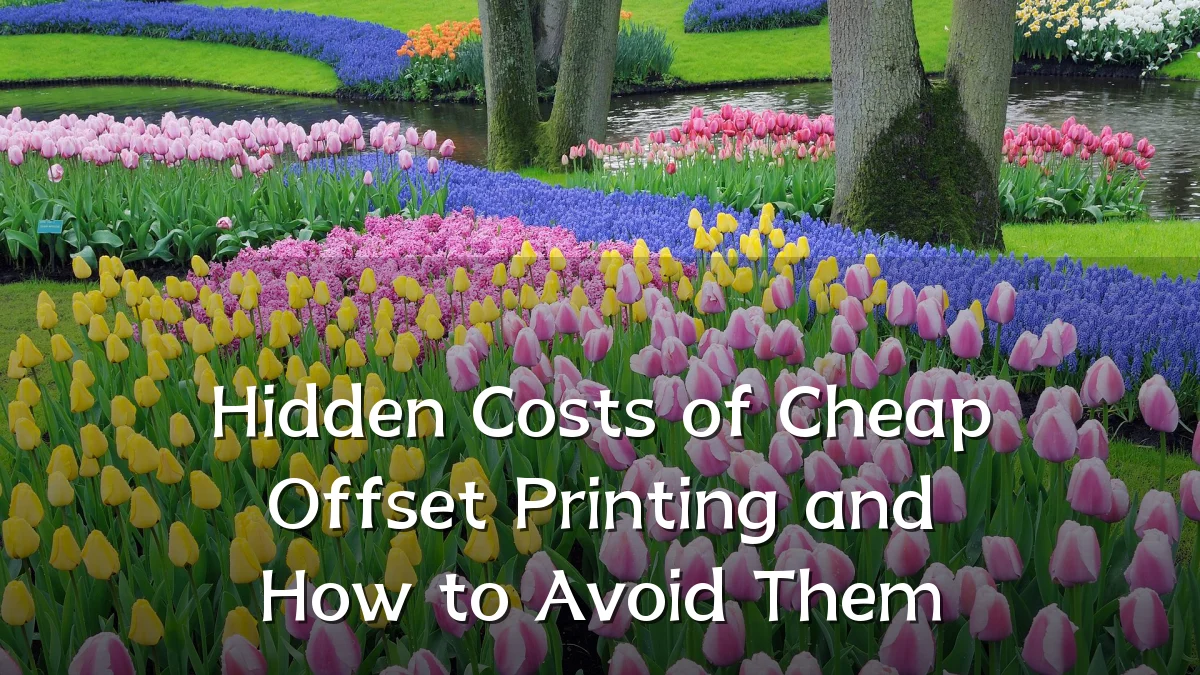 Hidden Costs of Cheap Offset Printing and How to Avoid Them