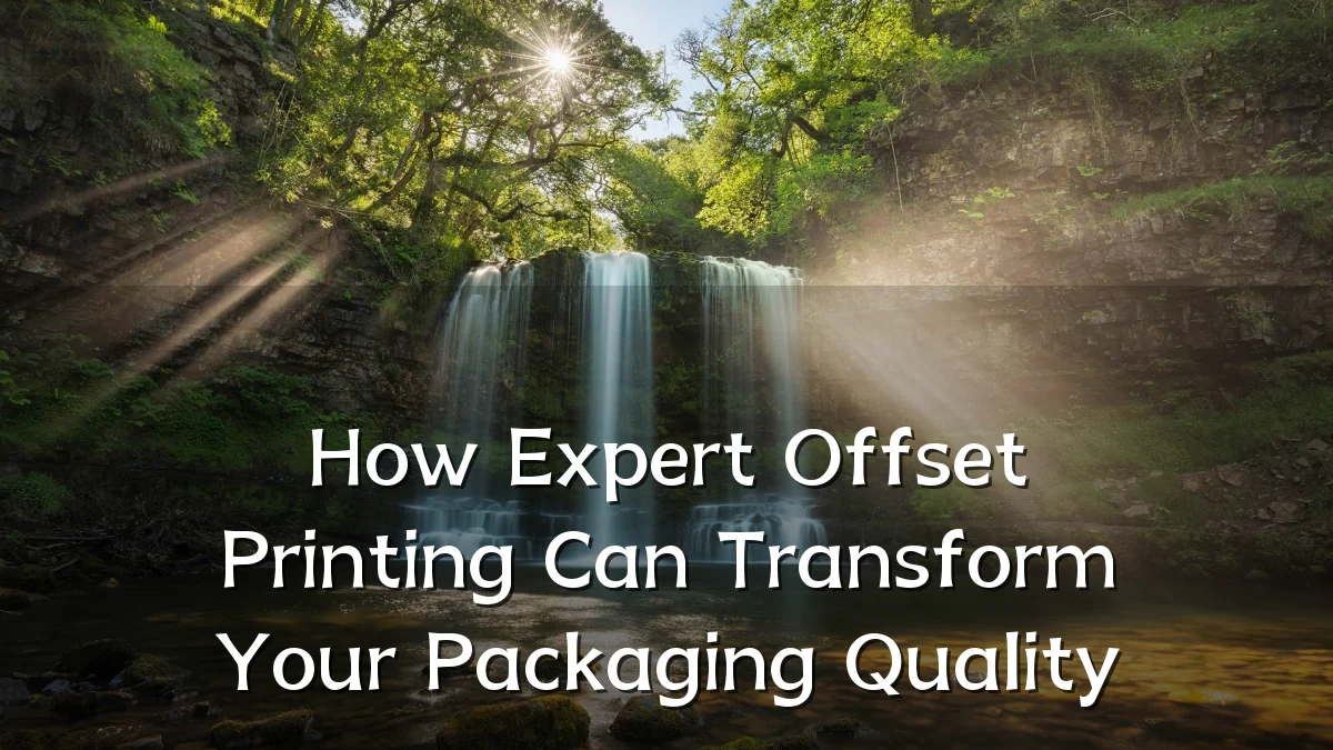 How Expert Offset Printing Can Transform Your Packaging Quality