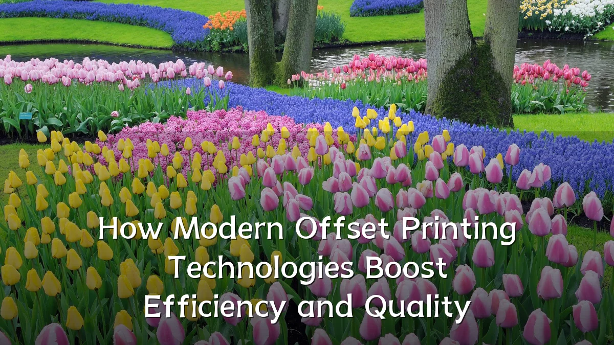 How Modern Offset Printing Technologies Boost Efficiency and Quality