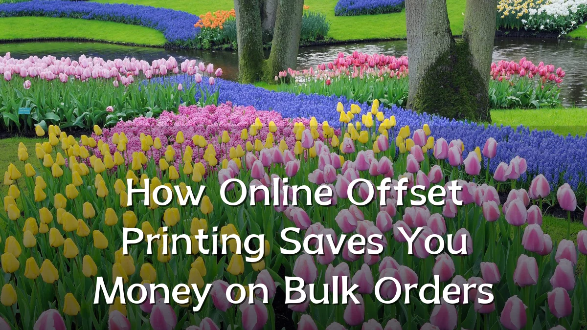 How Online Offset Printing Saves You Money on Bulk Orders