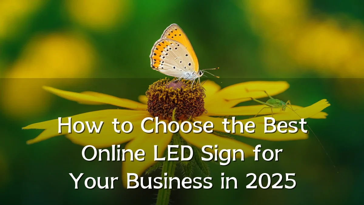 How to Choose the Best Online LED Sign for Your Business in 2025