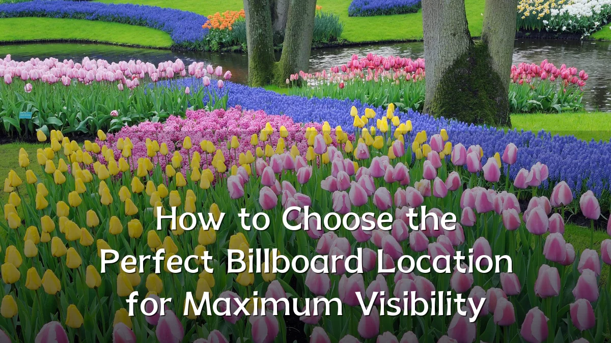 How to Choose the Perfect Billboard Location for Maximum Visibility