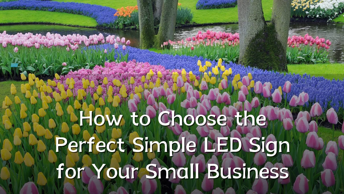 How to Choose the Perfect Simple LED Sign for Your Small Business