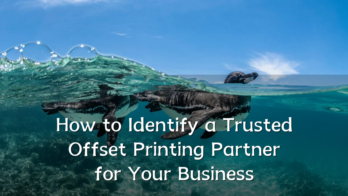 How to Identify a Trusted Offset Printing Partner for Your Business