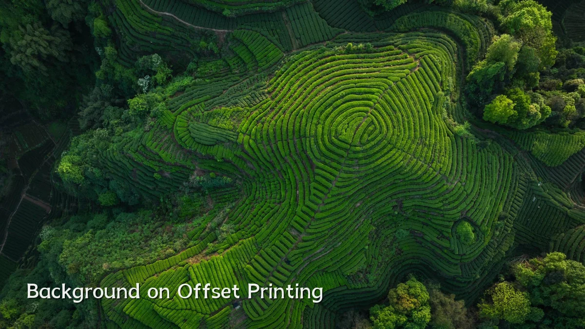 Background on Offset Printing