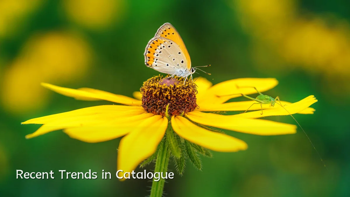 Recent Trends in Catalogue