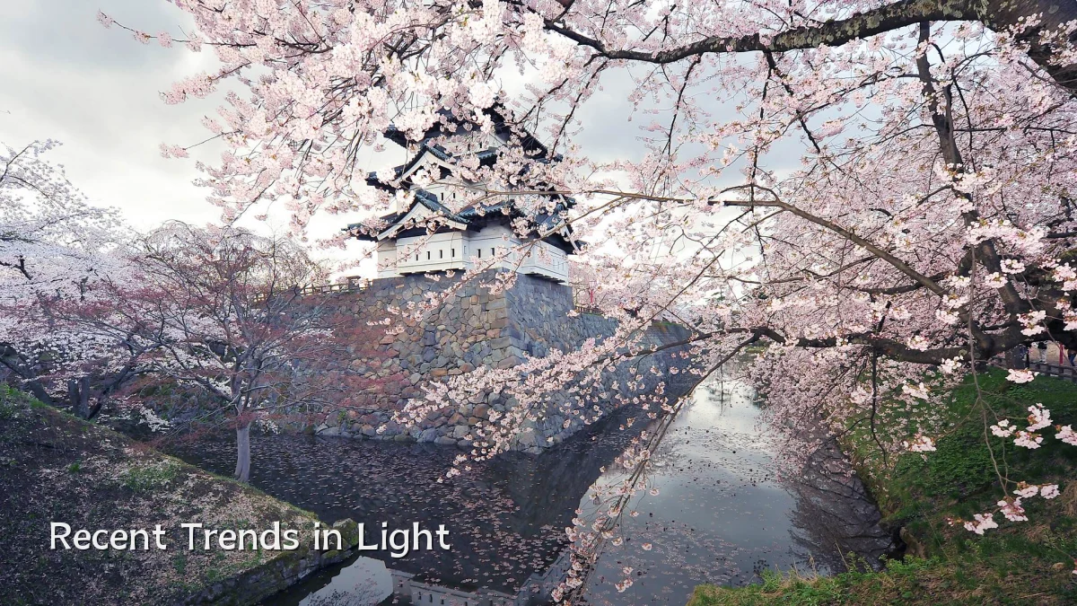 Recent Trends in Light