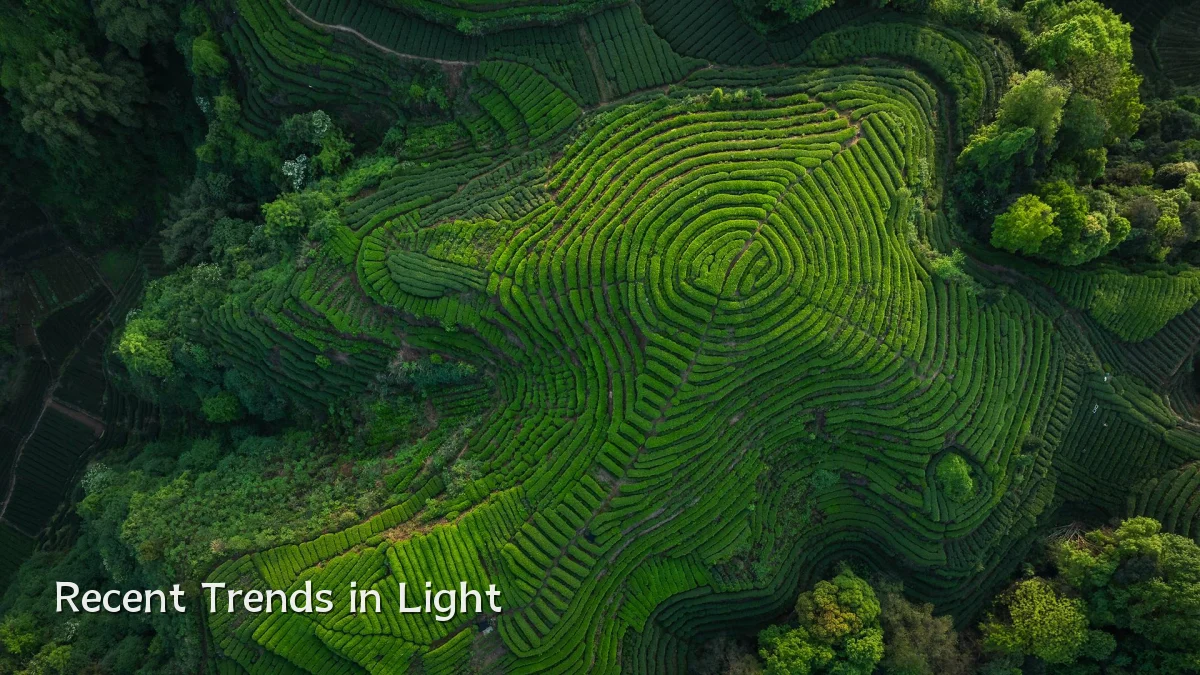 Recent Trends in Light