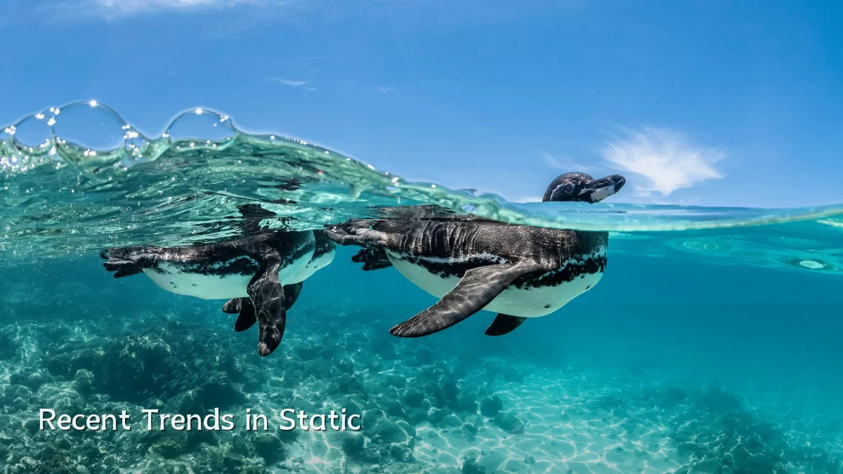 Recent Trends in Static