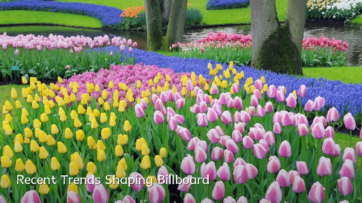 Recent Trends Shaping Billboard