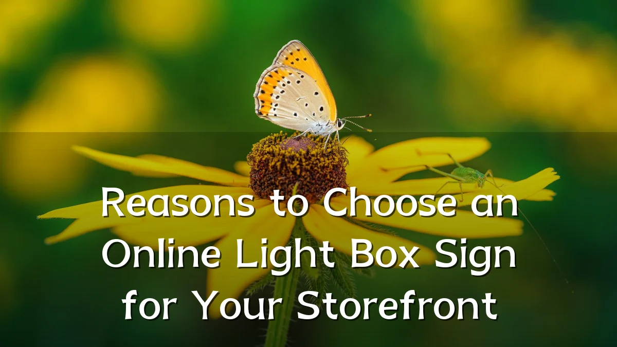 Reasons to Choose an Online Light Box Sign for Your Storefront