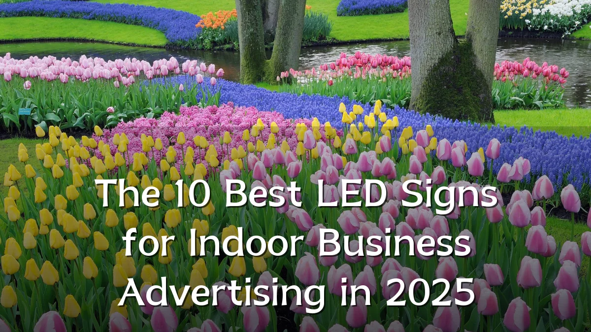 The 10 Best LED Signs for Indoor Business Advertising in 2025