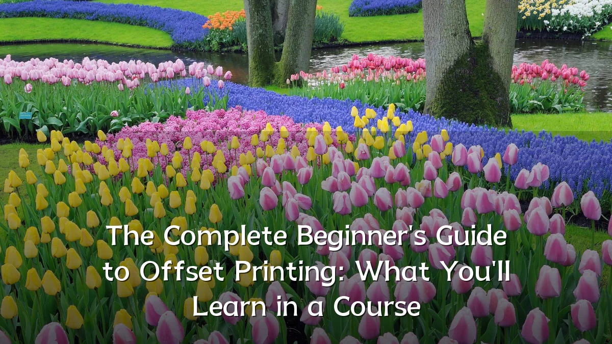 The Complete Beginner's Guide to Offset Printing: What You'll Learn in a Course
