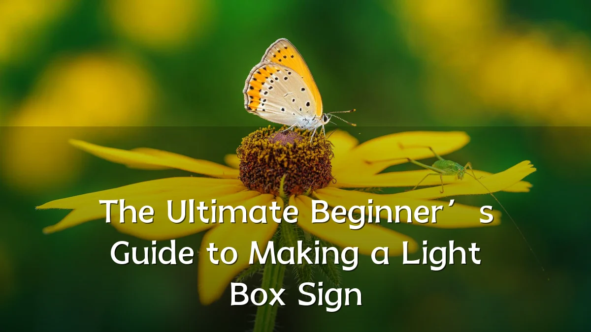 The Ultimate Beginner’s Guide to Making a Light Box Sign