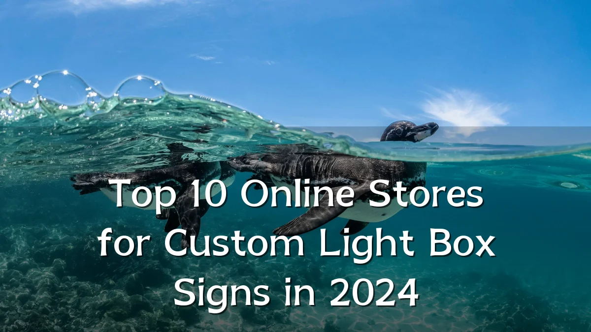Top 10 Online Stores for Custom Light Box Signs in 2024