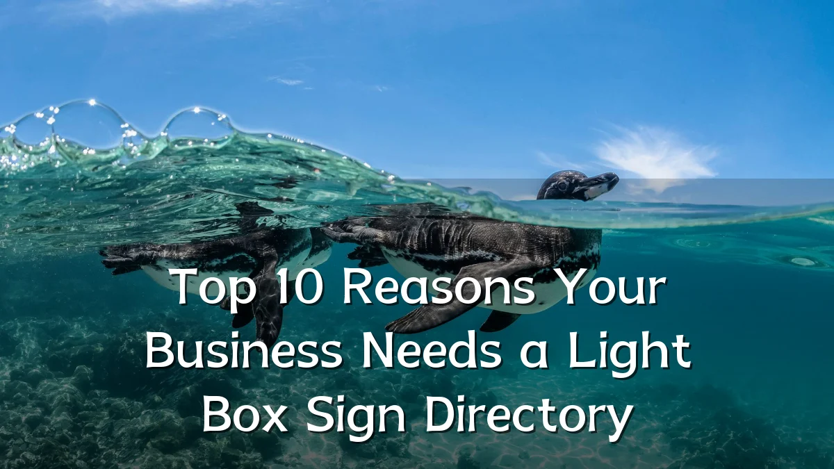 Top 10 Reasons Your Business Needs a Light Box Sign Directory