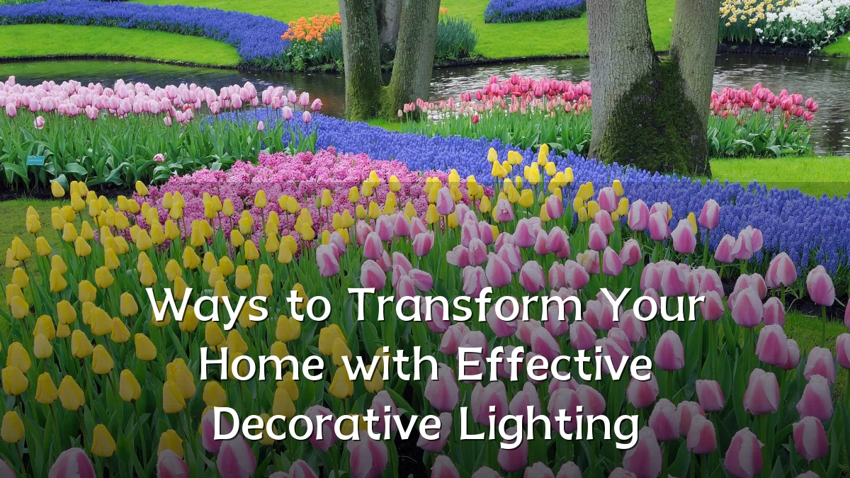 Ways to Transform Your Home with Effective Decorative Lighting