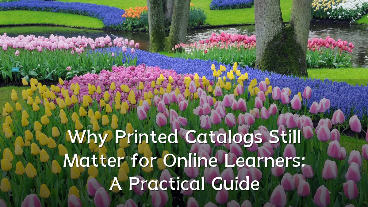 Why Printed Catalogs Still Matter for Online Learners: A Practical Guide
