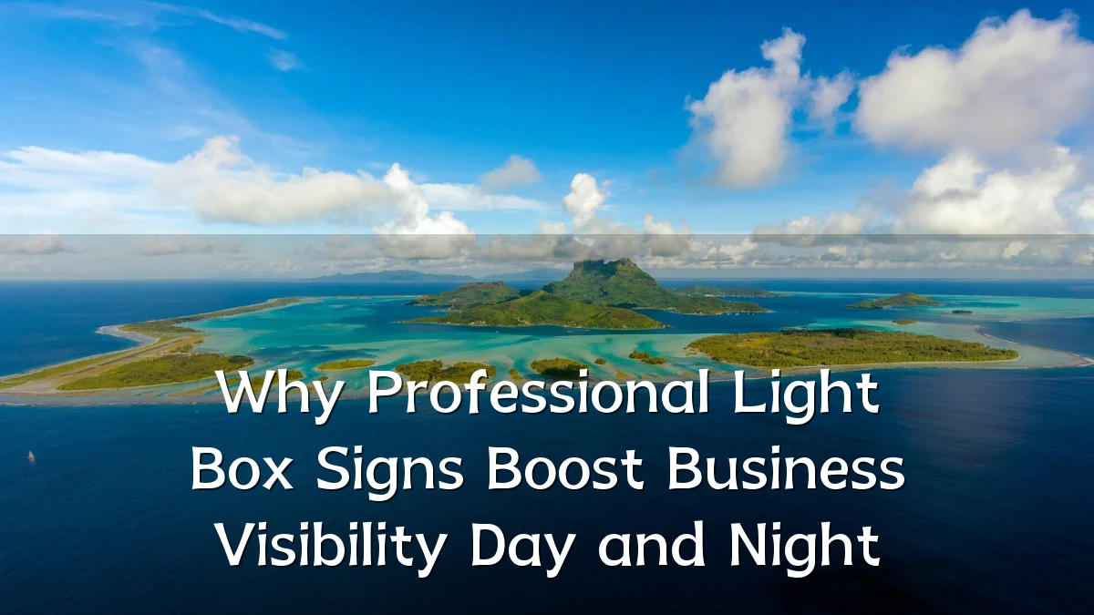 Why Professional Light Box Signs Boost Business Visibility Day and Night