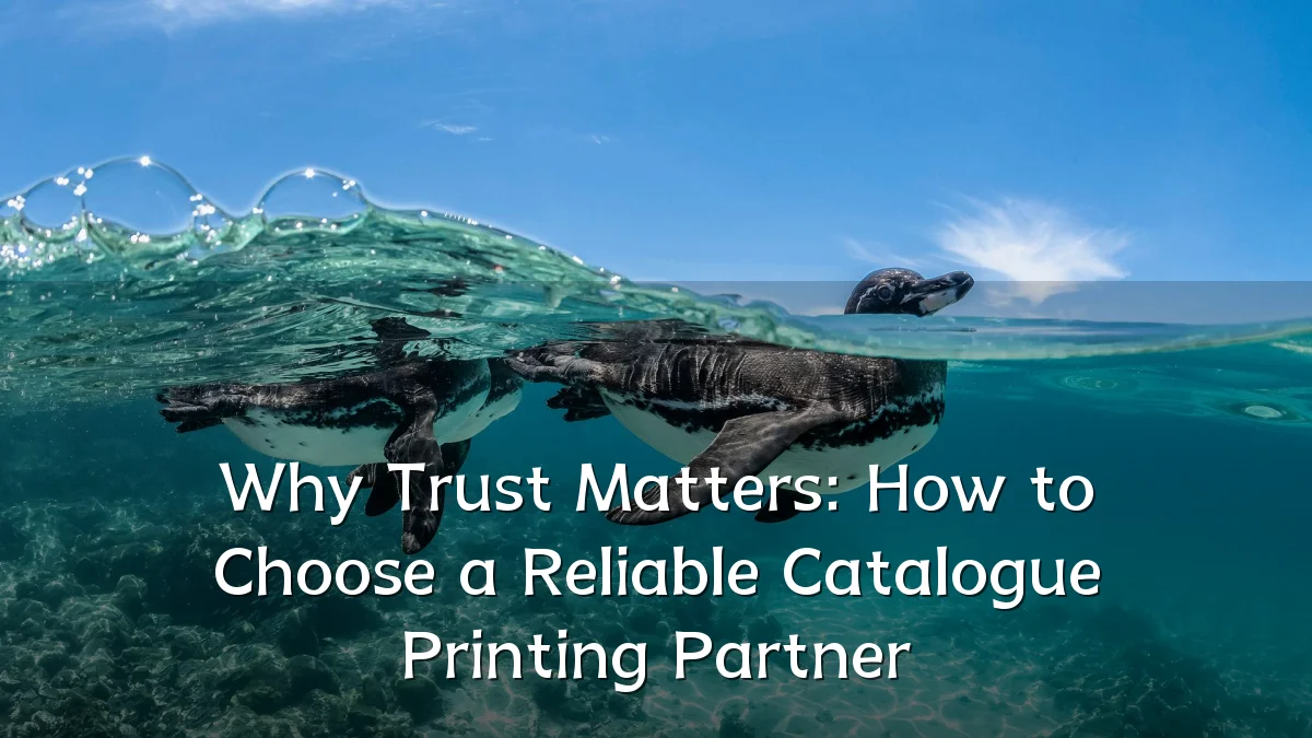 Why Trust Matters: How to Choose a Reliable Catalogue Printing Partner