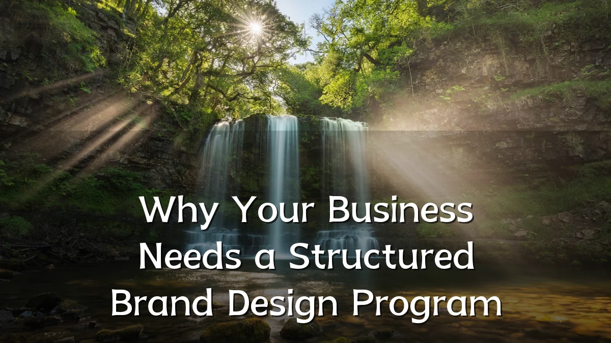 Why Your Business Needs a Structured Brand Design Program