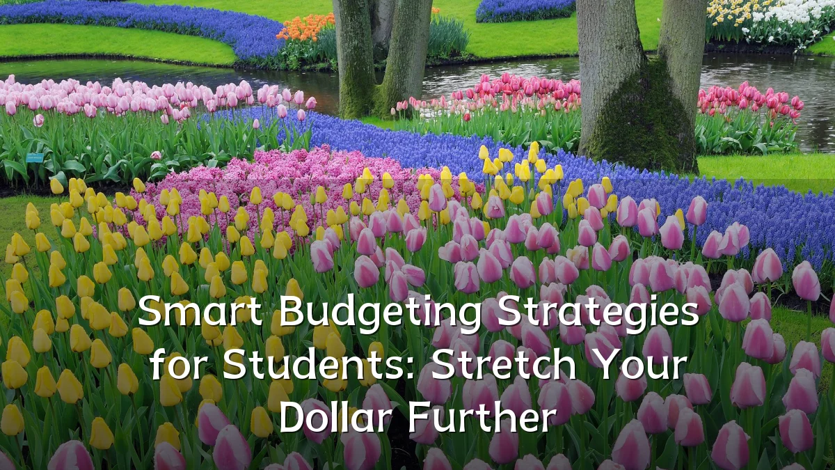 Smart Budgeting Strategies for Students: Stretch Your Dollar Further