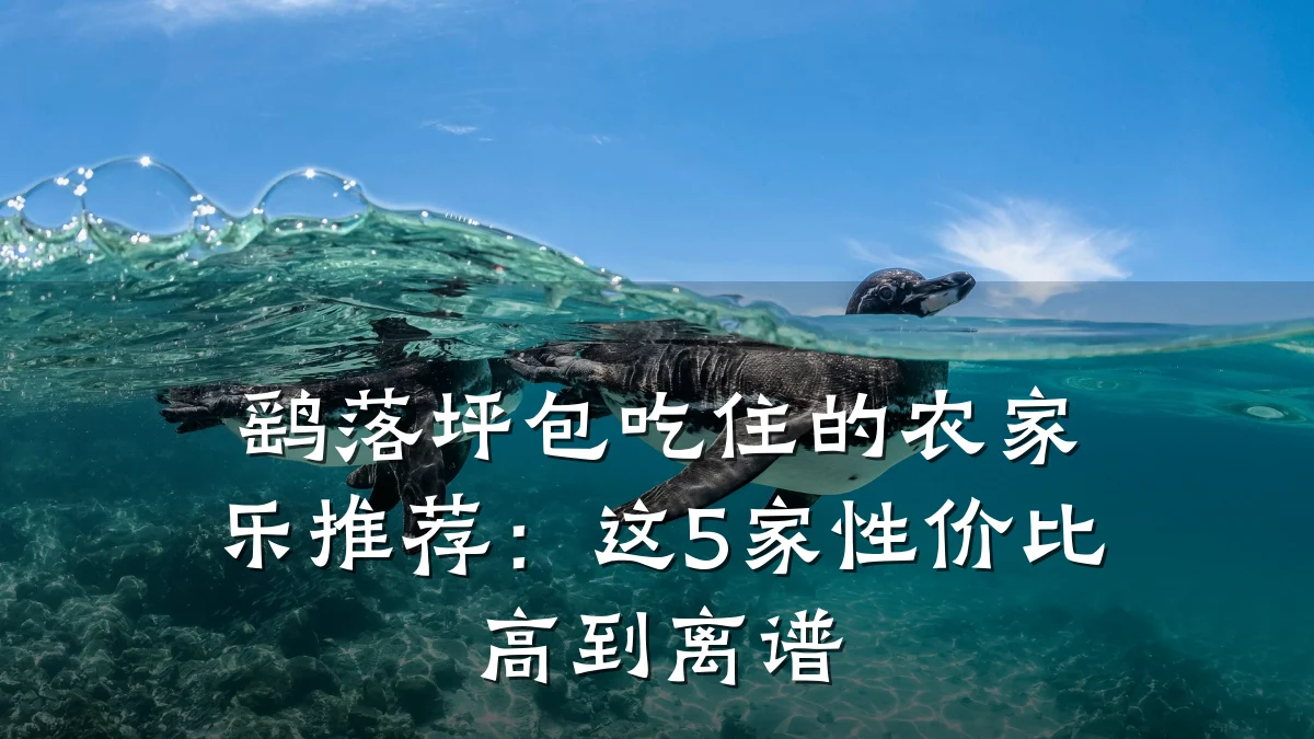 鹞落坪包吃住的农家乐推荐:这5家性价比高到离谱