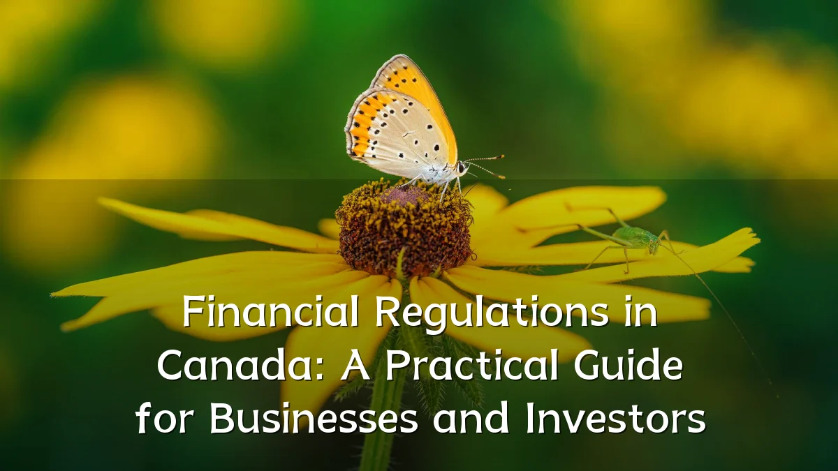 Financial Regulations in Canada: A Practical Guide for Businesses and Investors